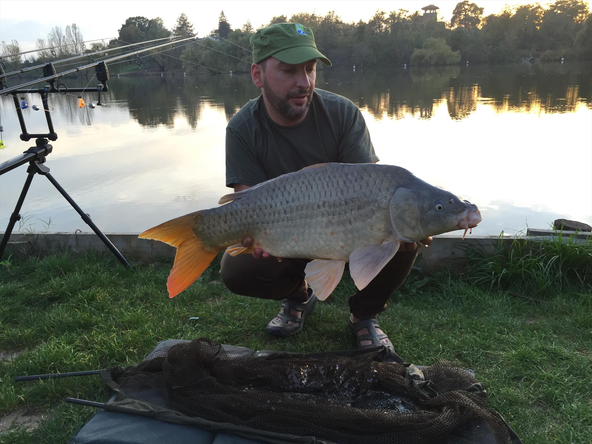 Hermes Peris - Octombrie 2014 - img3762.JPG